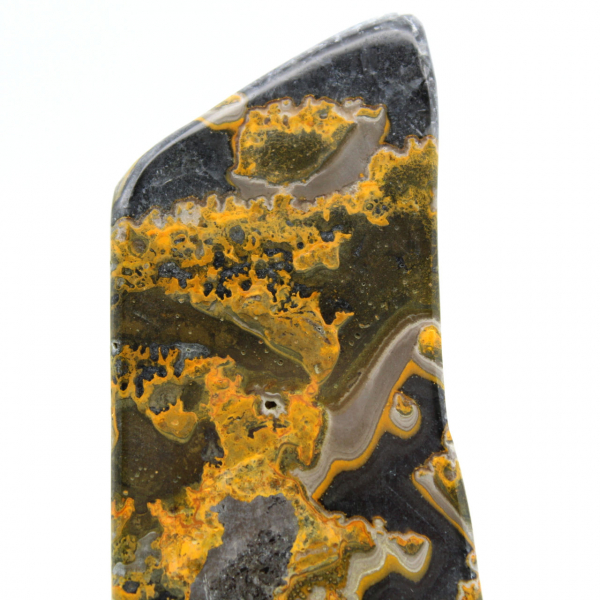 Bumblebee Jasper