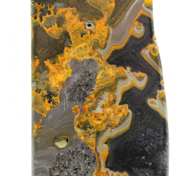 Bumblebee Jasper
