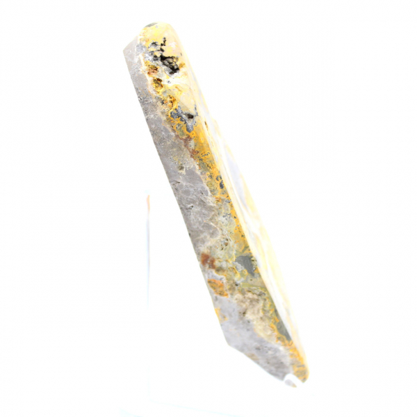 Bumblebee Jasper