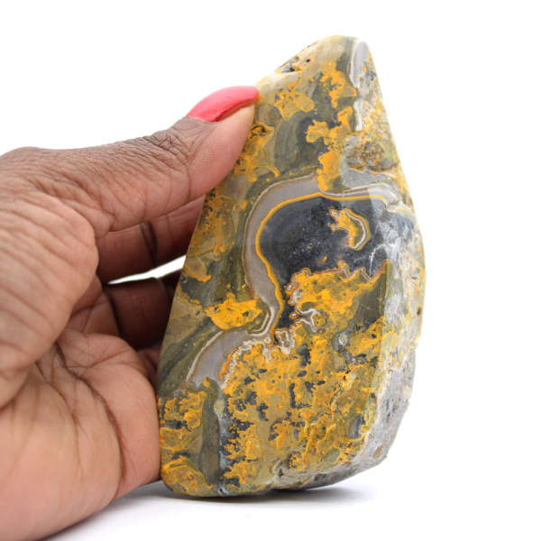 Bumblebee Jasper