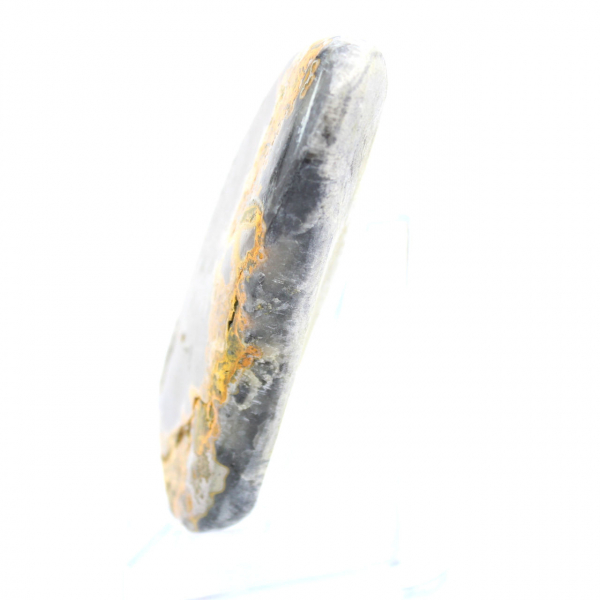 Bumblebee Jasper