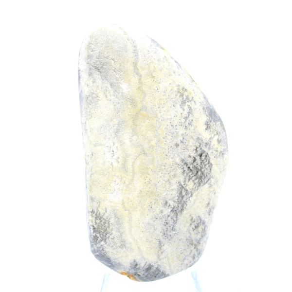 Bumblebee Jasper