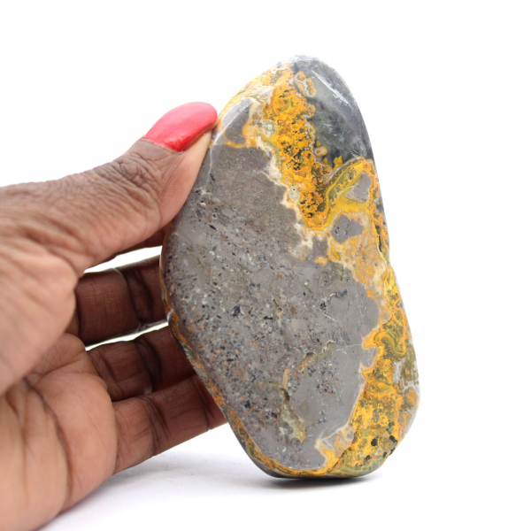 Bumblebee Jasper