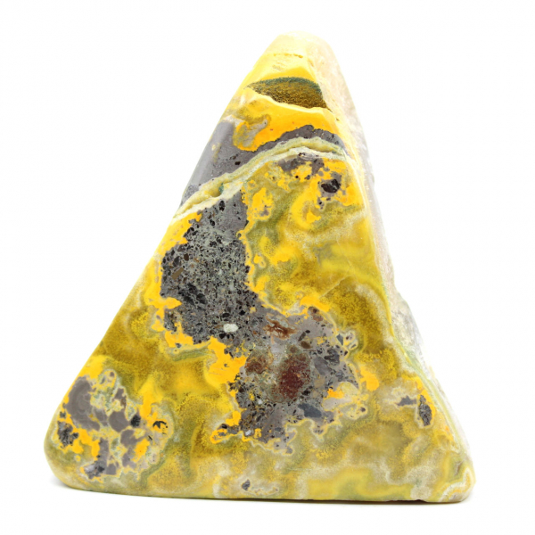 Bumblebee Jasper