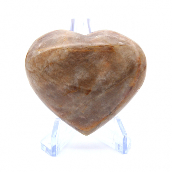 Microklien hart
