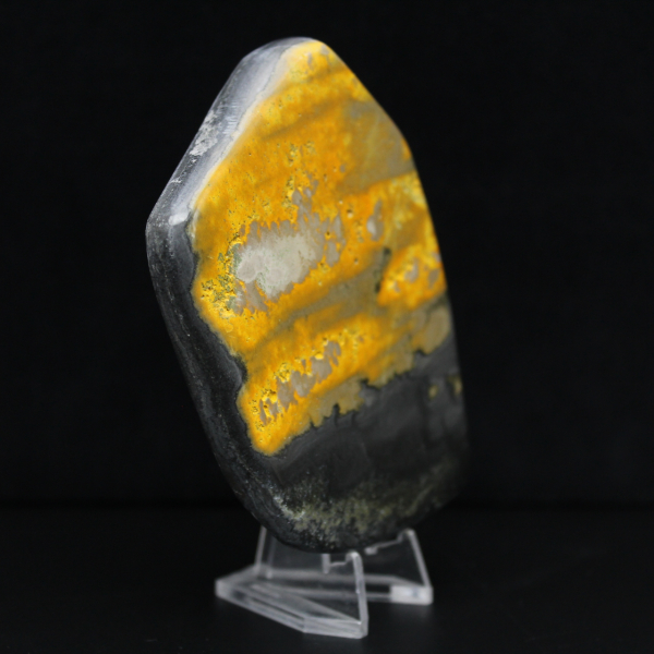 Bumblebee Polished Indonesia Collectie