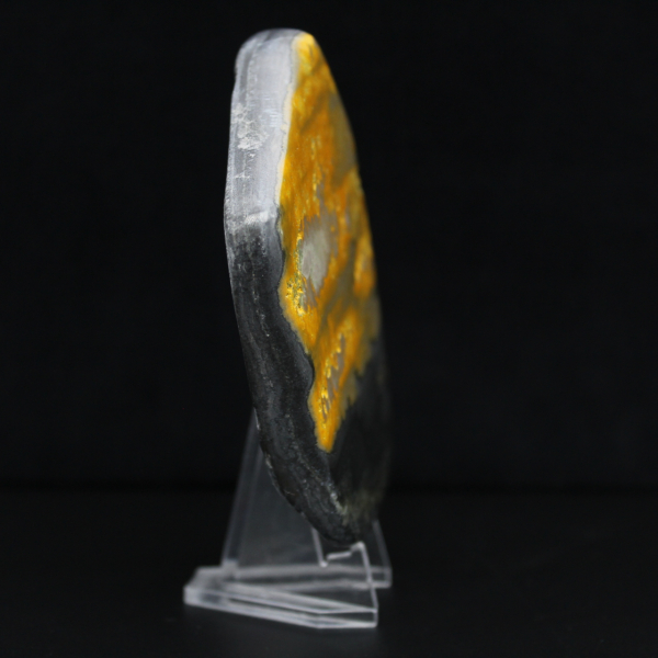 Bumblebee Polished Indonesia Collectie