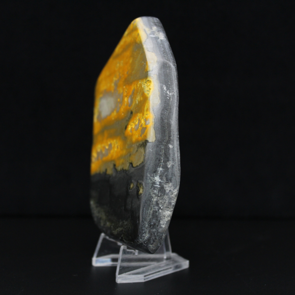 Bumblebee Polished Indonesia Collectie