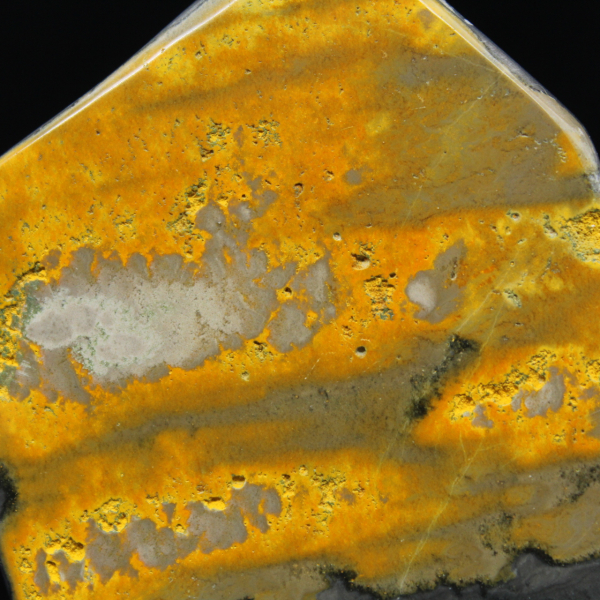 Bumblebee Polished Indonesia Collectie