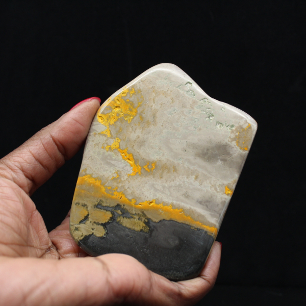 Authenticiteitsdecoratie van een Jasper hommel-exemplaar