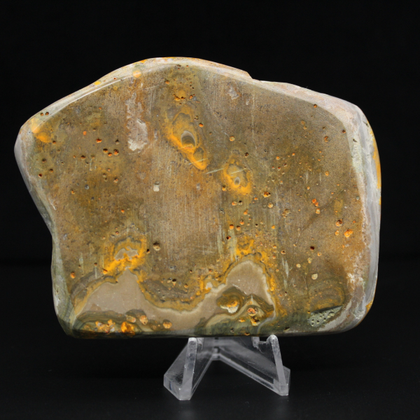 Authenticiteitsdecoratie van een Jasper hommel-exemplaar