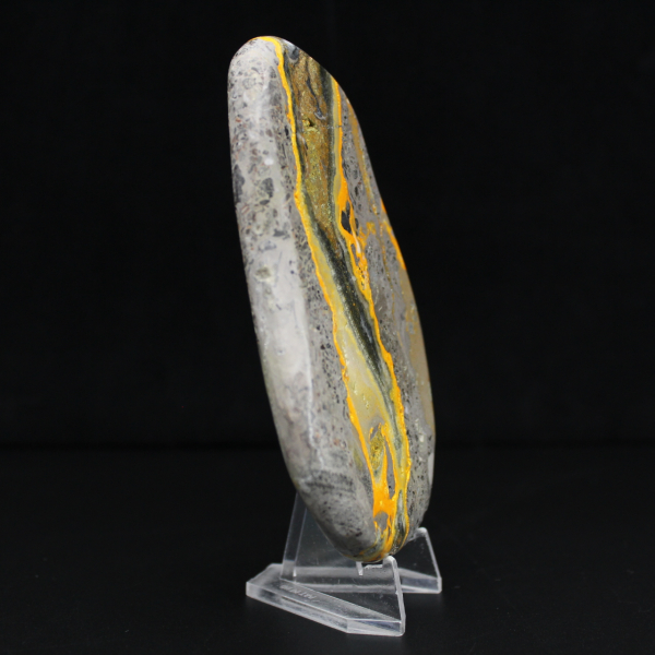 Hommeljaspis exemplaar, gepolijste wetenschappelijke collectie