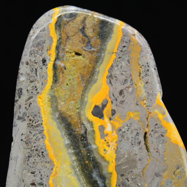 Hommeljaspis exemplaar, gepolijste wetenschappelijke collectie