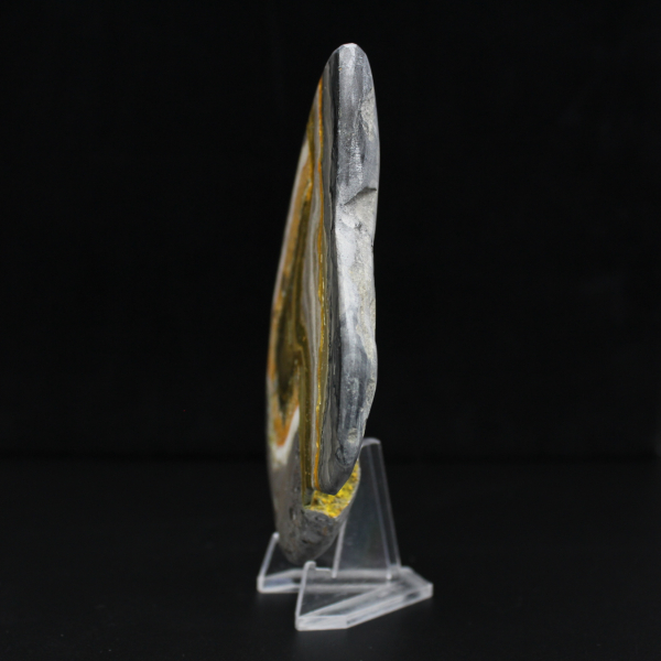 Gepolijste hommeljaspissteen, mineralenwetenschap