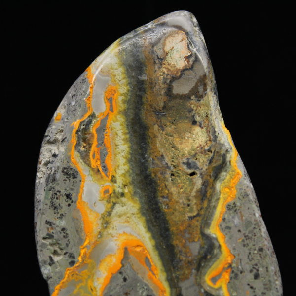 Gepolijste hommeljaspis, zeldzaam exemplaar Indonesië