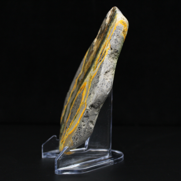 Decoratiecollectie van gladde jaspisstenen met hommelmotief