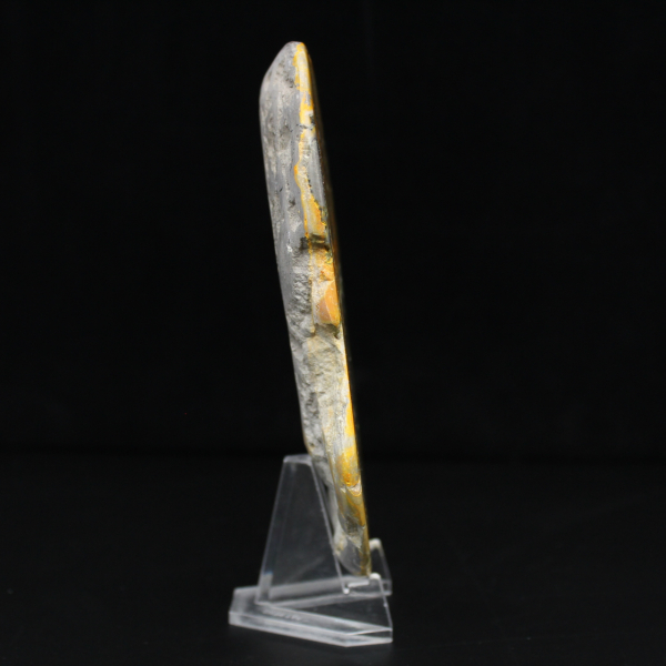 Groot, gepolijst ornament van een hommel van jaspis