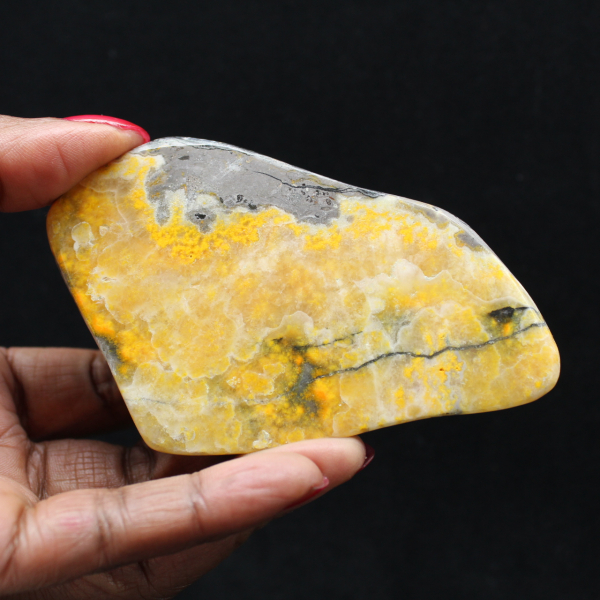 Exemplaar uit de collectie van de gladde jaspis-hommel