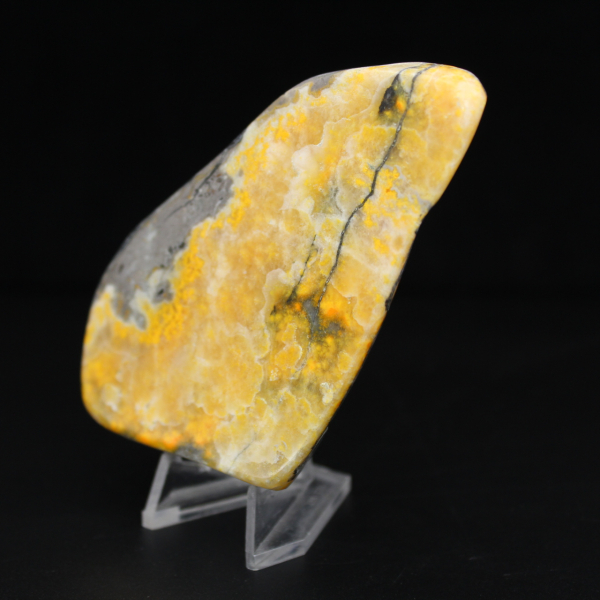 Exemplaar uit de collectie van de gladde jaspis-hommel