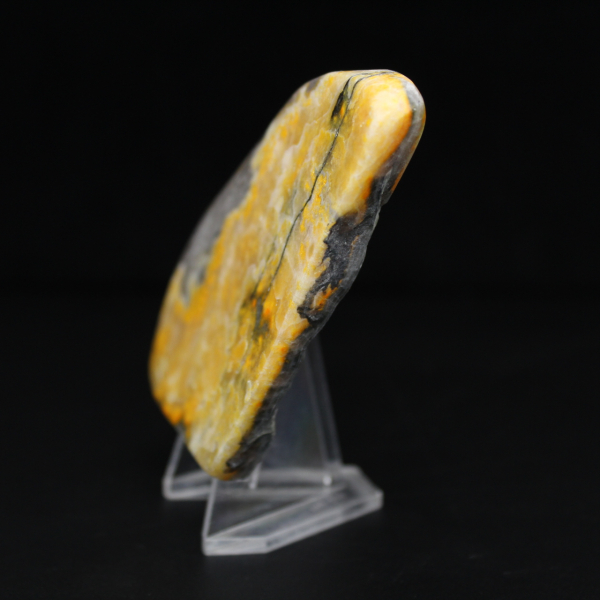 Exemplaar uit de collectie van de gladde jaspis-hommel