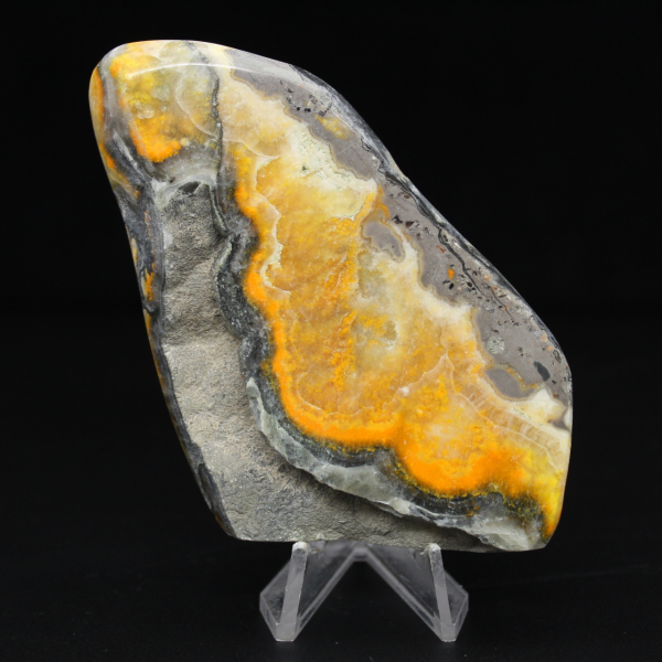 Exemplaar uit de collectie van de gladde jaspis-hommel