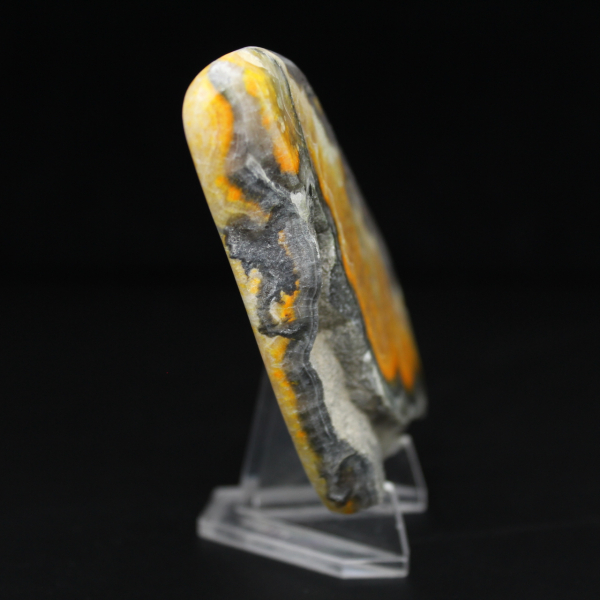 Exemplaar uit de collectie van de gladde jaspis-hommel