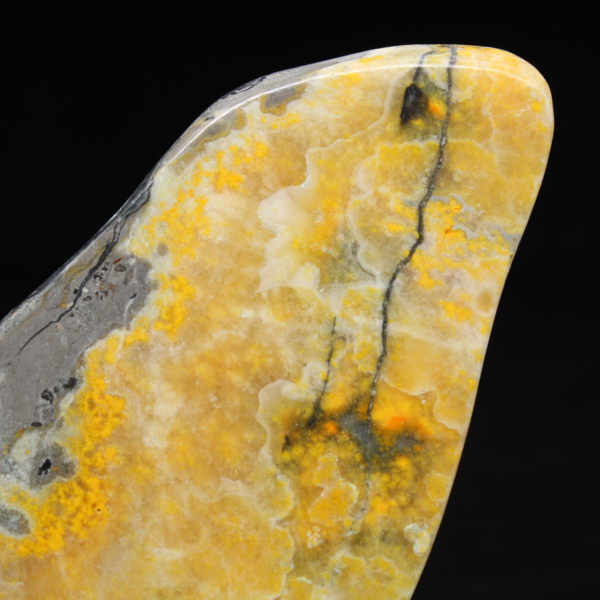 Exemplaar uit de collectie van de gladde jaspis-hommel