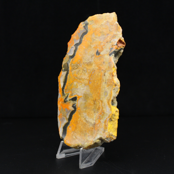 Bumblebee Jasper