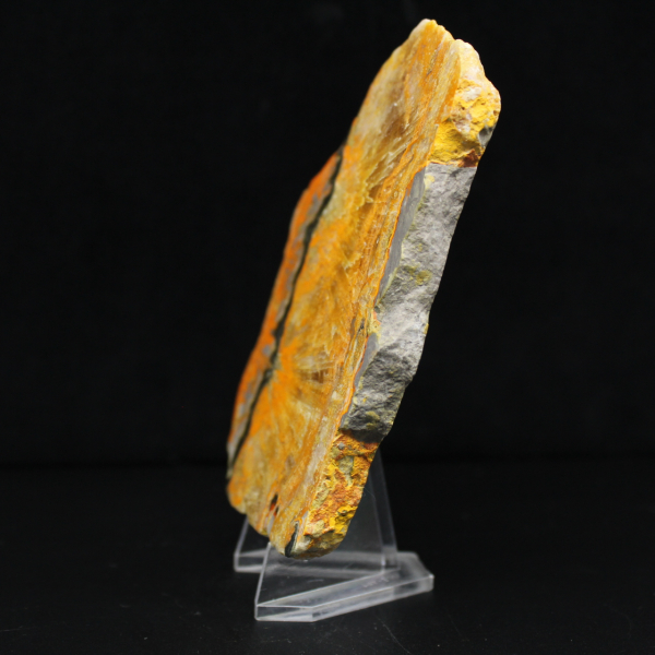 Bumblebee Jasper