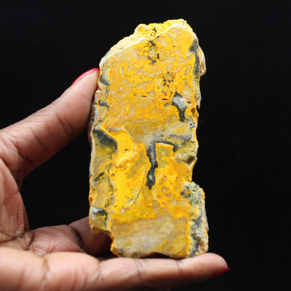 Bumblebee Jasper