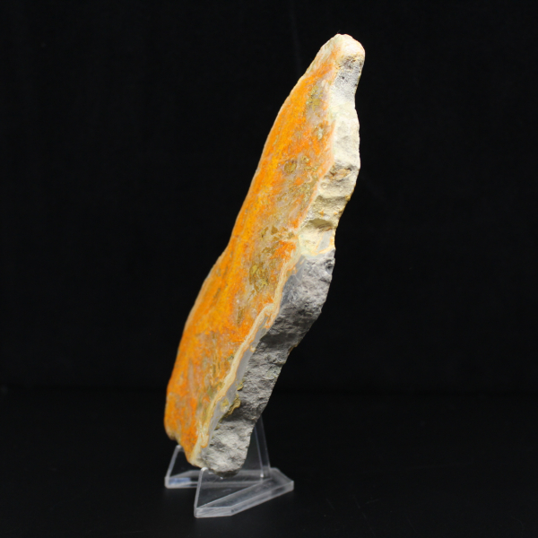 Gepolijste plak Indonesische Hommeljaspis