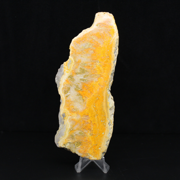 Gepolijste plak Indonesische Hommeljaspis