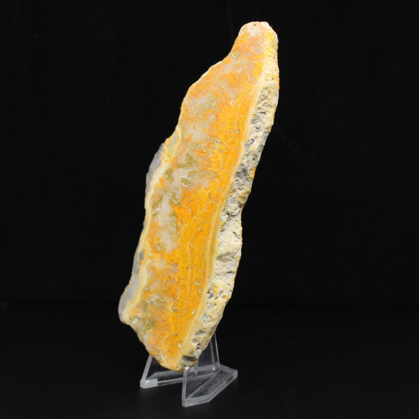 Gepolijste plak Indonesische Hommeljaspis