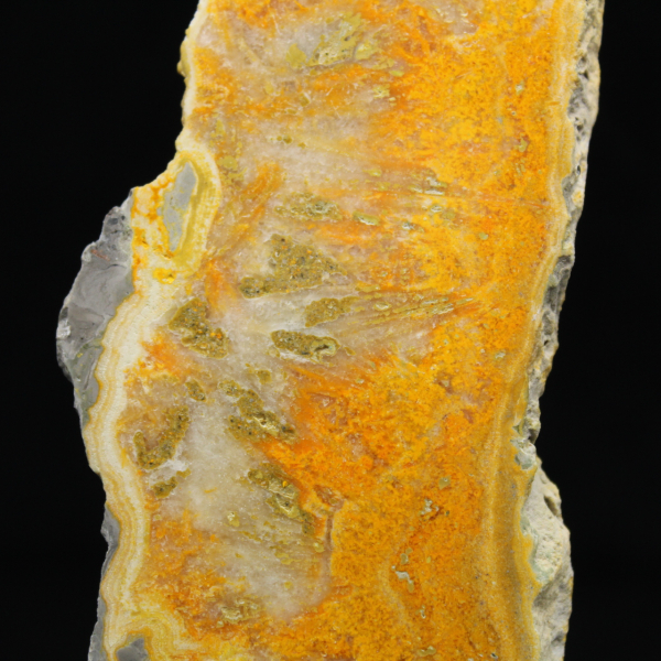 Gepolijste plak Indonesische Hommeljaspis