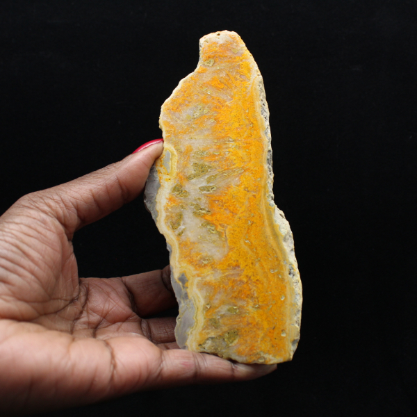 Gepolijste plak Indonesische Hommeljaspis