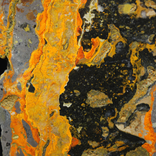 Gepolijste Hommeljaspis langwerpige plak