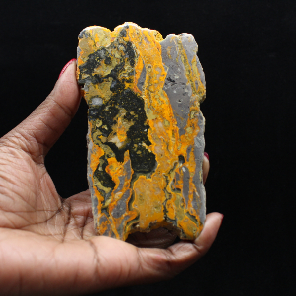 Gepolijste Hommeljaspis langwerpige plak