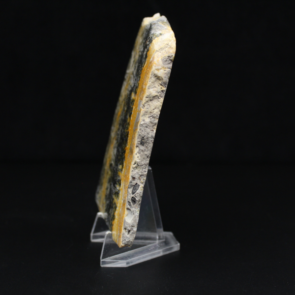 Gepolijst compact exemplaar van Hommeljaspis