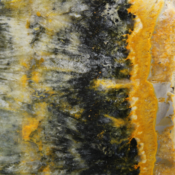 Gepolijst compact exemplaar van Hommeljaspis