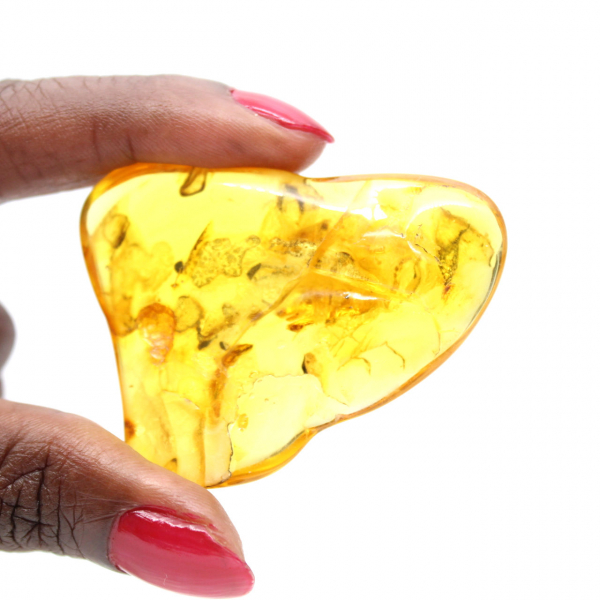Grote gele barnsteenkiezel uit Litouwen – fossiel voor verzameling
