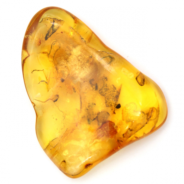 Grote gele barnsteenkiezel uit Litouwen – fossiel voor verzameling