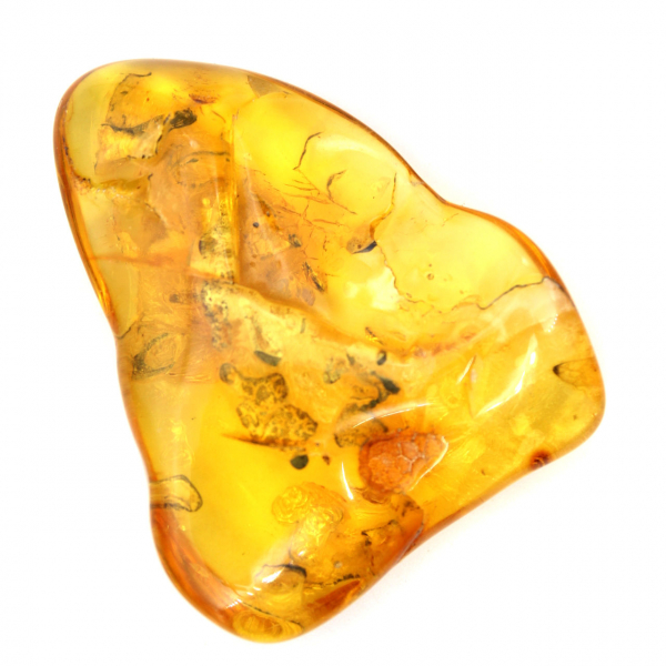 Grote gele barnsteenkiezel uit Litouwen – fossiel voor verzameling