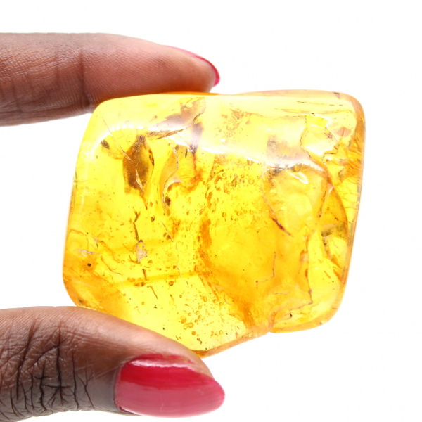 Gele Baltische barnsteen – Kiezel voor verzameling