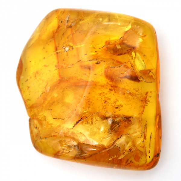 Gele Baltische barnsteen – Kiezel voor verzameling