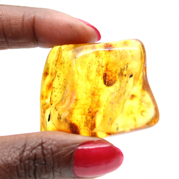 Baltische barnsteen fossiele hars – Kiezel voor liefhebbers