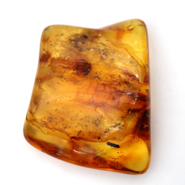 Baltische barnsteen fossiele hars – Kiezel voor liefhebbers