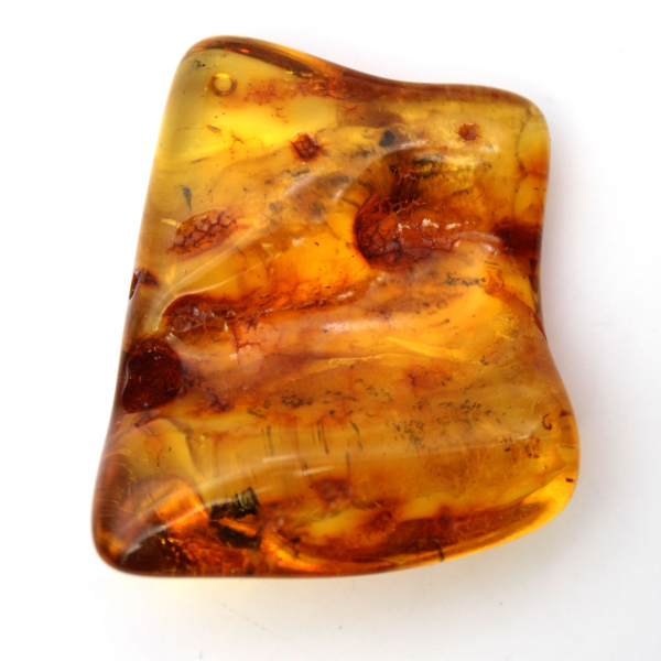 Baltische barnsteen fossiele hars – Kiezel voor liefhebbers