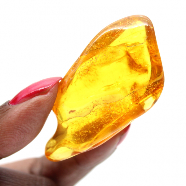 Gele amberkleurige kiezelsteen uit Litouwen voor fossielenverzameling