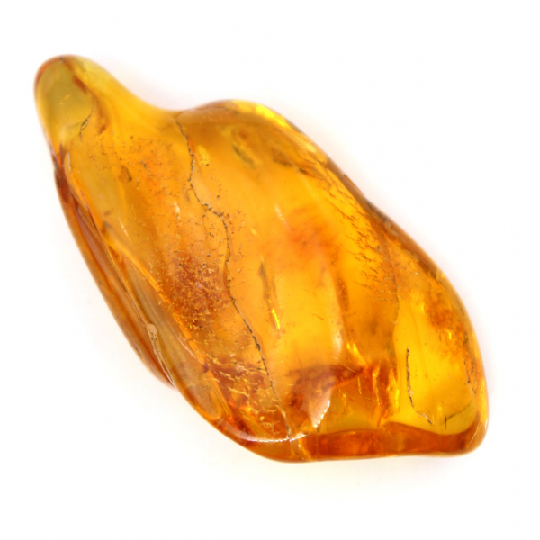 Gele amberkleurige kiezelsteen uit Litouwen voor fossielenverzameling