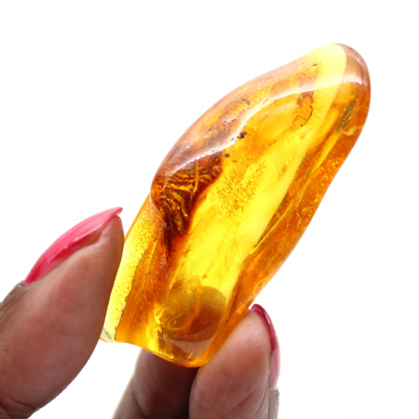Gepolijste gele amberkiezel – verzamelobject Litouwen